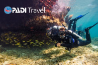 Курс Open Water Diver + Advanced Open Water Diver