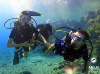 scuba diving destinations_дайвинг направления_יעדי צלילה