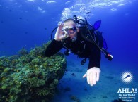 scuba diver red sea_eilat_israel