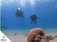 начинающие дайверы на Красном море в Эйлате