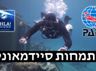 התמחות סיידמאונט באילת