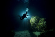 קורס צלילת לילה באילת_ padi night diver course in Eilat