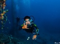 guided dive in eilat_צלילה מודרכת באילת_погружение с инструктором в Эйлате